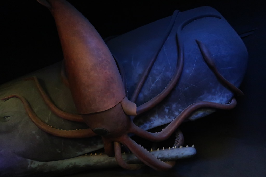 Most Dangerous Octopus