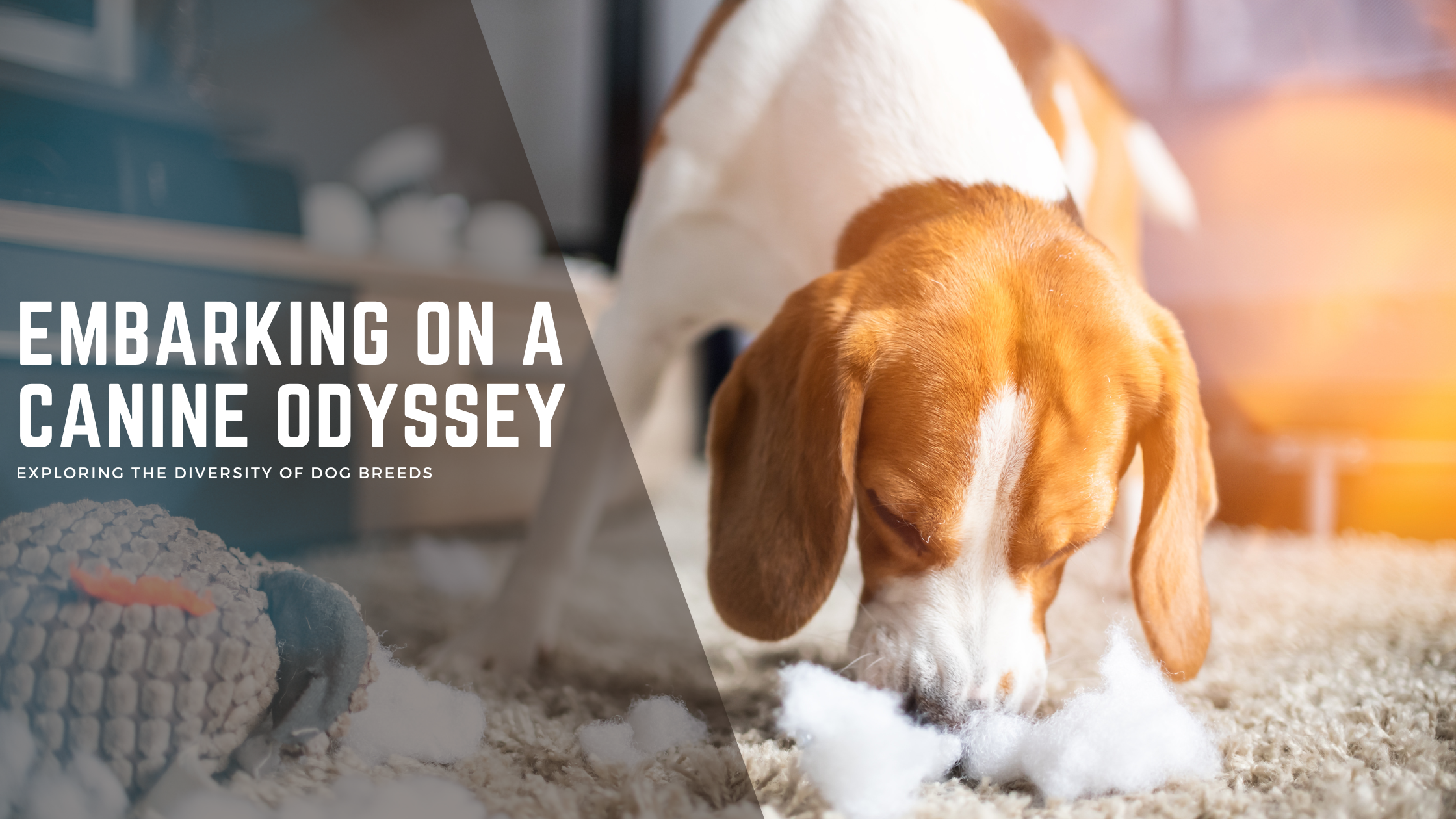Dog Breeds